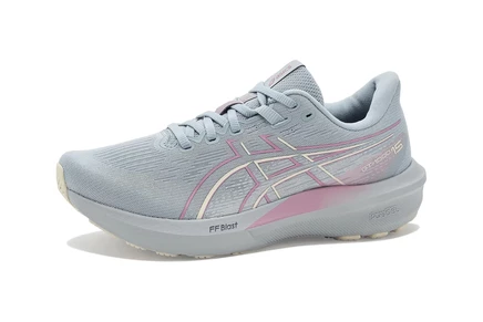 Кроссовки ASICS GT-1000 15