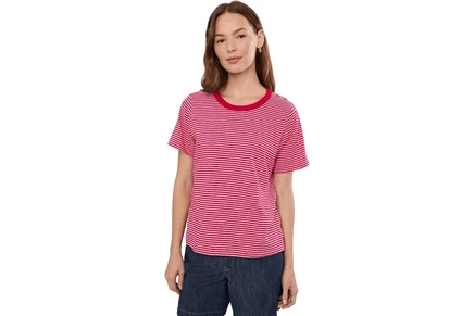 fuchsia stripe