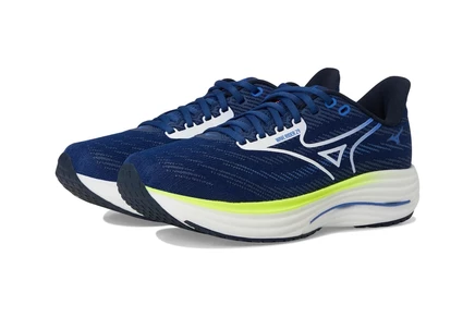 Мужские кроссовки Mizuno Wave Rider 29