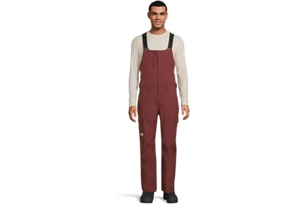 Мужские нагрудные штаны The North Face Freedom Bib