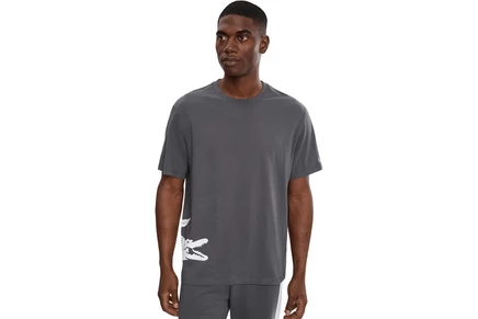 Футболка Lacoste Printed Cotton Loungewear T-Shirt