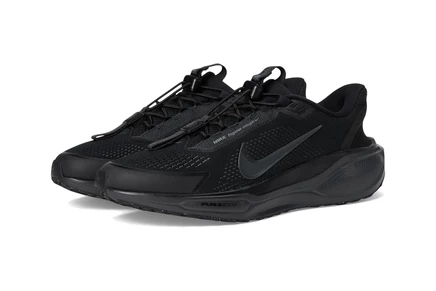 Мужские кроссовки Nike Pegasus Easy On