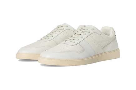 Мужские кроссовки Steve Madden Jerro