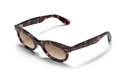 Солнцезащитные очки Ray-Ban 0RB2242 Wayfarer Oval