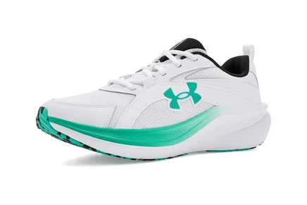 Мужские кроссовки Under Armour Charged Assert 11