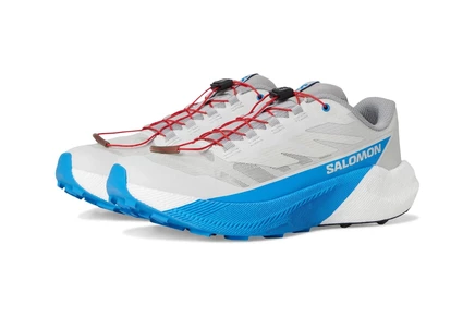 Мужские кроссовки Salomon Pulsar