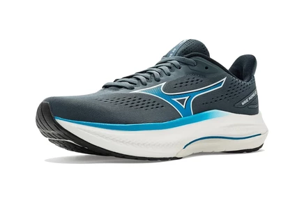 Мужские кроссовки Mizuno Wave Inspire 22