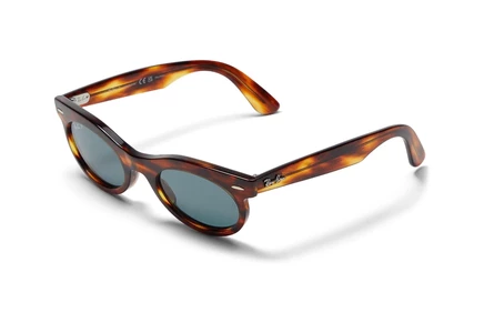 Солнцезащитные очки Ray-Ban 0RB2242 Wayfarer Oval