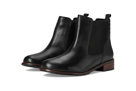 Ботинки David Tate Luxe