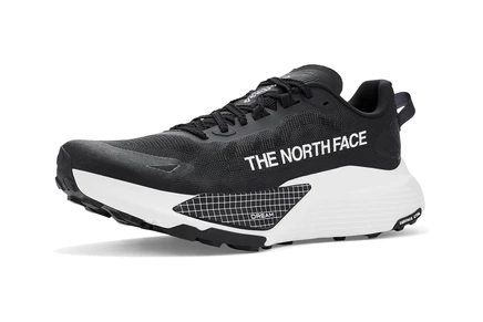 Мужские кроссовки The North Face Altamesa 500 V2