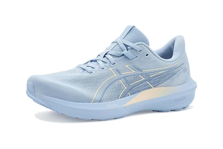 Кроссовки ASICS GT-1000 15