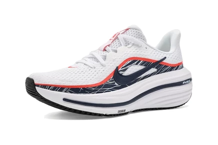 Мужские кроссовки Nike Air Winflo 12, разноцветные