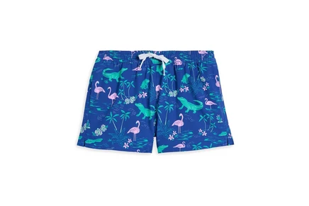 Плавки Chubbies Kids The Swamp And Circumstances (boys Lined Swim Trunk) (big Kid)
