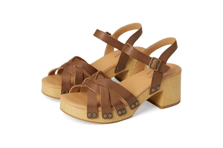 brown terra