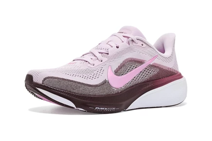 Кроссовки Nike Air Zoom Pegasus 42