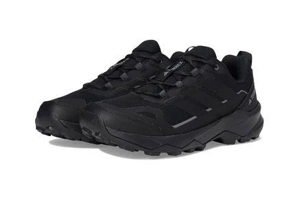 Мужские кроссовки adidas Outdoor Terrex Skychaser AX5 Hiking Shoes