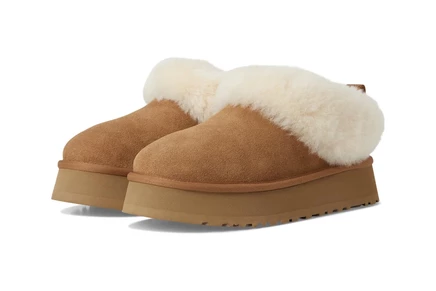 Тапочки UGG Tazzelle