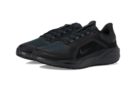 Мужские кроссовки Nike Pegasus 41 GORE-TEX
