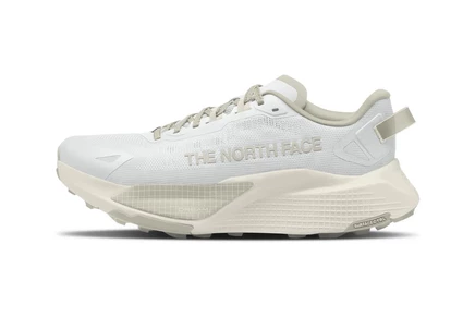 Кроссовки The North Face Altamesa 500 V2
