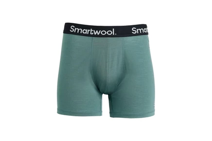 Мужские боксеры Smartwool Everyday Merino, пыльная бирюза