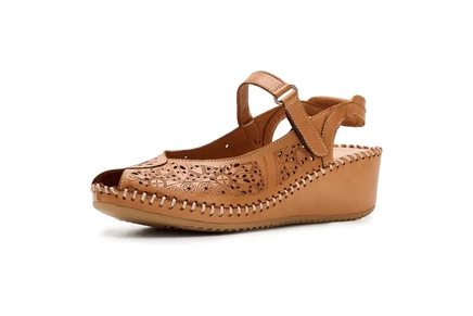 camel 1