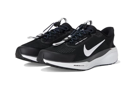 Мужские кроссовки Nike Pegasus Easy On