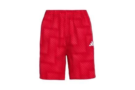 Шорты adidas Kids Aop World Soccer Shorts (Big Kid)