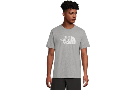 Футболка The North Face S/S Core Half Dome Tee