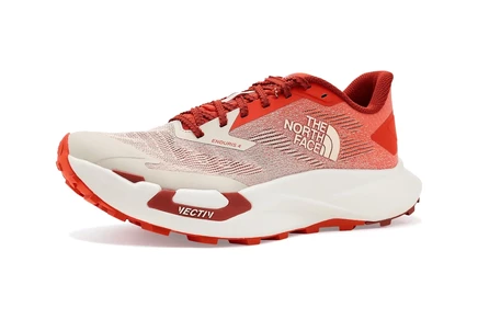 Мужские кроссовки The North Face VECTIV Enduris 4