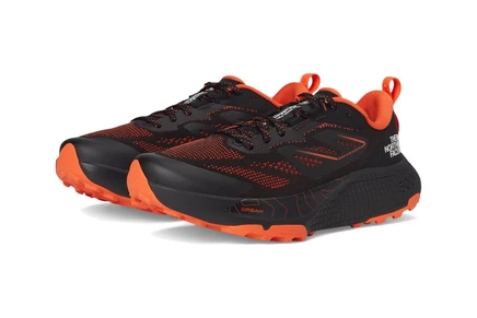 Мужские кроссовки The North Face Altamesa 500