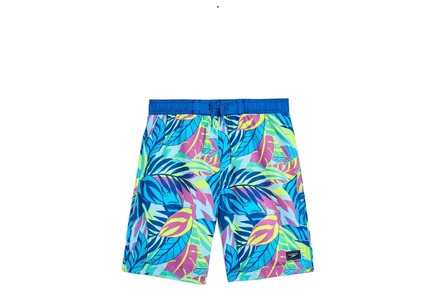 Детские шорты Speedo Kids E-Board для плавания, фиолетовые