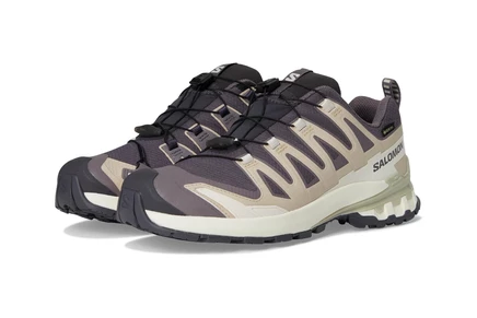 Женские кроссовки Salomon XA Pro 3D V9 GORE-TEX, nine iron