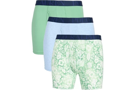 Мужские брифы Polo Ralph Lauren Classic Fit, писташковый