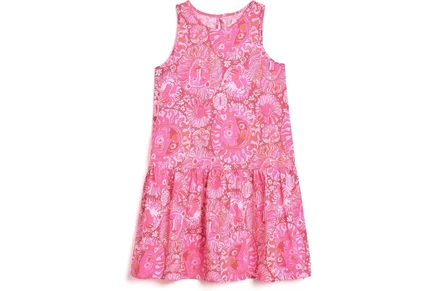 Lilly Pulitzer Kids Mini Dixi Dress (Toddler/Little Kid/Big Kid) paradise punch jims stuff