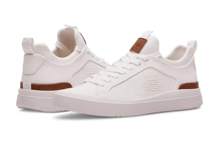 Мужские кроссовки Steve Madden Oasys