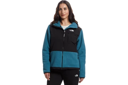 The North Face Retro Denali Hoodie space