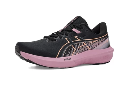 Кроссовки ASICS GT-1000 15