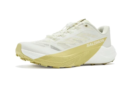 Кроссовки Salomon Pulsar
