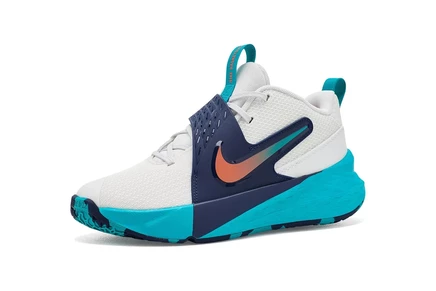 Кроссовки для детей Nike Kids Team Hustle D 12, белые