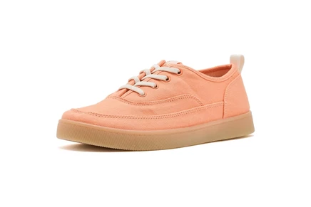 shell coral canvas