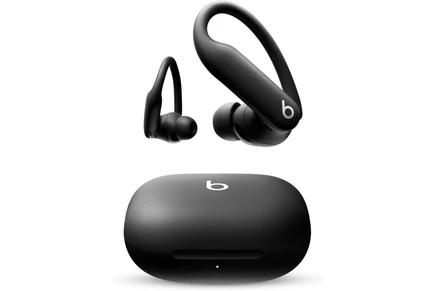 Наушники-вкладыши Beats Powerbeats Pro 2, черные