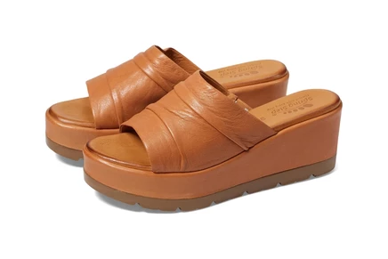 camel