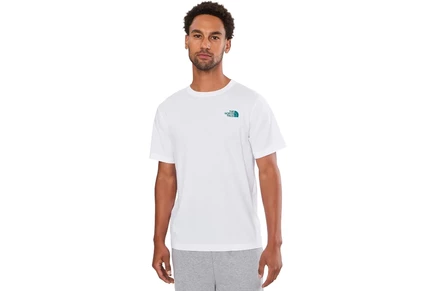 Футболка The North Face Evolution TNF NSE Regular Short Sleeve Tee