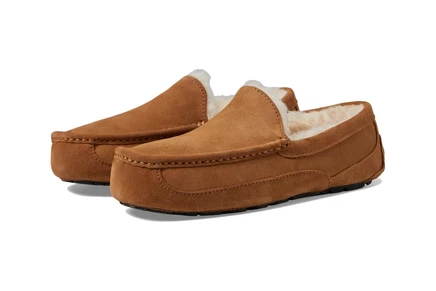 Мужские тапочки UGG Wide Ascot, каштановые