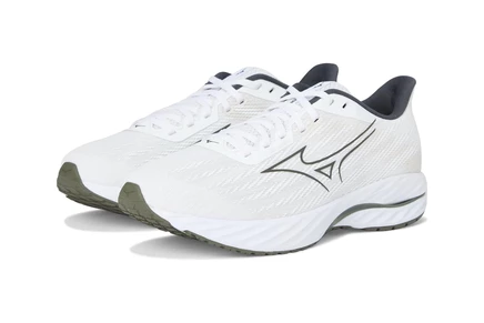 Мужские кроссовки Mizuno Wave Inspire 21