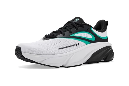 Мужские кроссовки Under Armour Charged Rogue 6