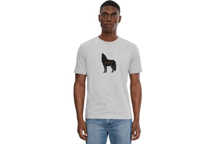 Мужская футболка prAna Wolf Pack, серый меланж