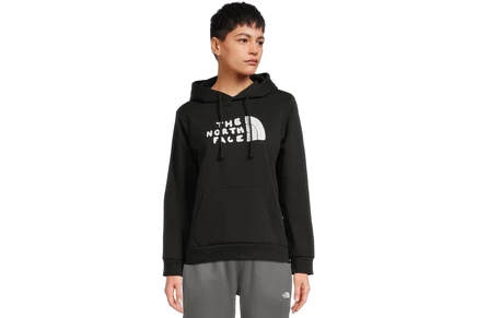 Женский свитшот The North Face Evolution Sketch Logo Half Dome Hoodie - Graphic