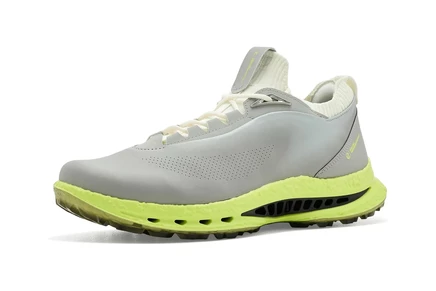 Мужские кроссовки ECCO Golf BIOM C5, GORE-TEX, серо-бежевые