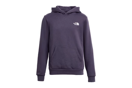 Толстовка The North Face Kids Evolution Simple Dome Pullover Hoodie (Little Kid/Big Kid)